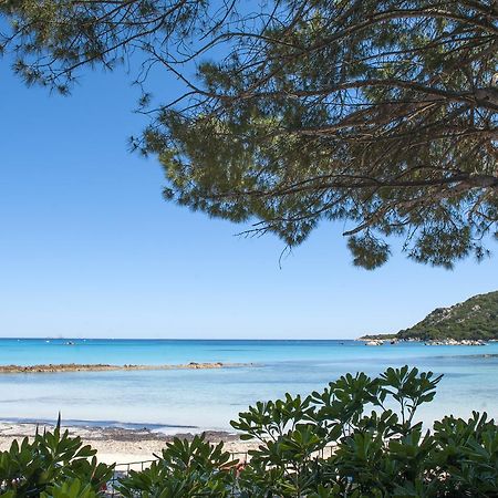 Résidence Mobydick Porto Vecchio Esterno foto