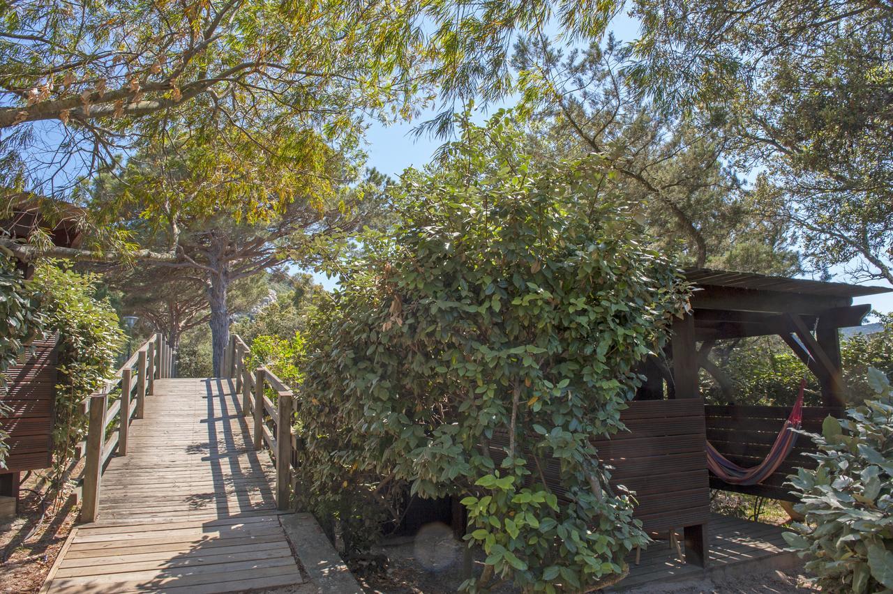 Résidence Mobydick Porto Vecchio Esterno foto